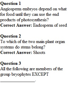 Week 14 Review Quiz